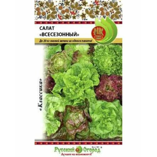 ������ ������ ������ ����� ����� ����������� �������� 1� ����� (������� ������) ����