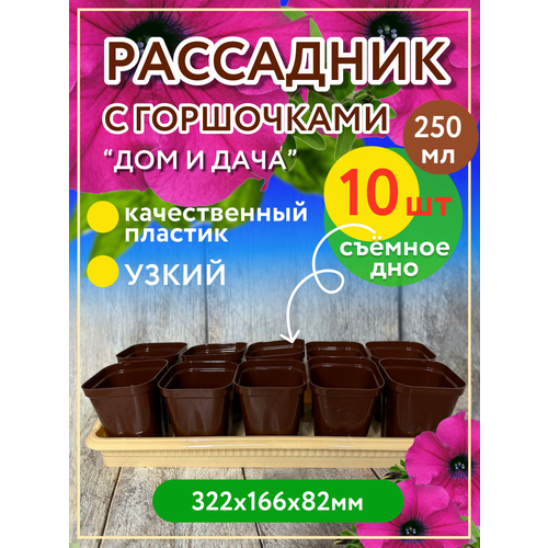 ������ ������ ��������� �� 10 ����������� (���������) � ��������, ������� ����