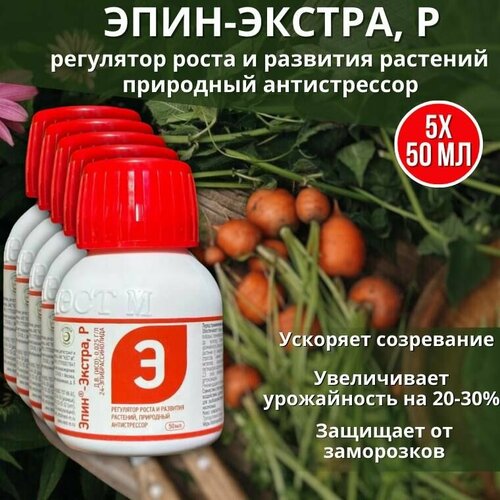 ������ ������ ����-������ ��������� ����� � �������� ��������, ��������� ������������ 50 ��, 5 �� ����