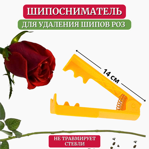 ������ ������ ������ LISTOK ��� �������� ����� ��� ������ ����