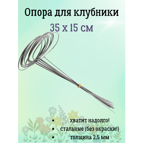 ������ ������ ����� �������� ��� �������� � �������/��������� ��������, 10 ��. � ������ ����