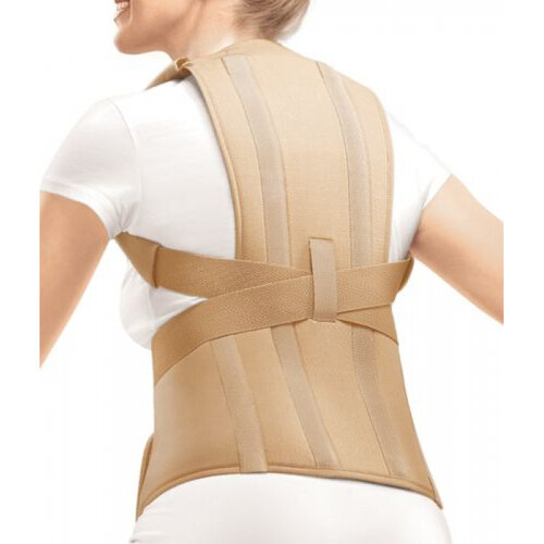 ������ ������ ��������� ������ Orlett TLSO-250(A) 2G, ������ S, ������� ����