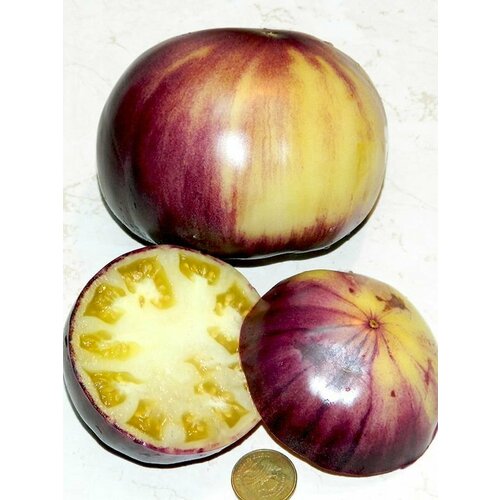 ������ ������ ������������� ������ ������ ���� ������ ����