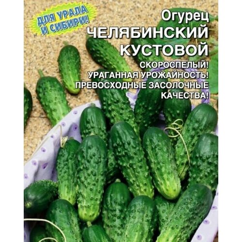 ������ ������ ������������� ������ ������ ����������� �������� ����