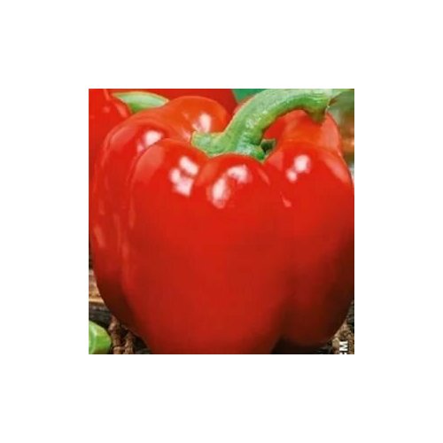 ������ ������ ������������� ������ ����� �������� F1 ������� ������� ����