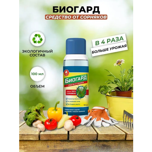 ������ ������ �������, �������� �� ��������(3 ���������) ����