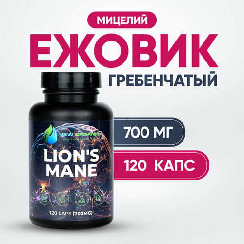 ������ ������ ������ �����������, 120 ������ �� 700 ��. ����