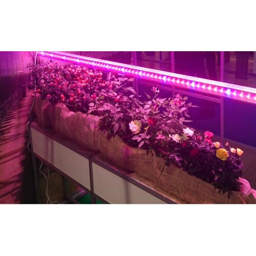 ������ ������ �������������� 30�� ����