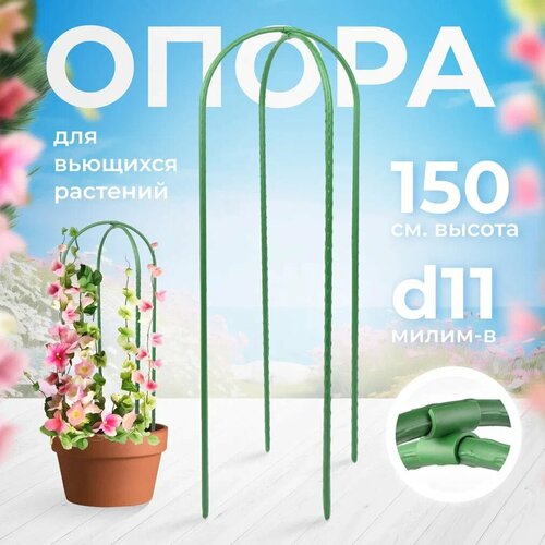 ������ ������ ����� ��� �������� 