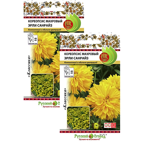 ������ ������ ��������� ���� ������� �������� (40 �����), 2 ������ ����