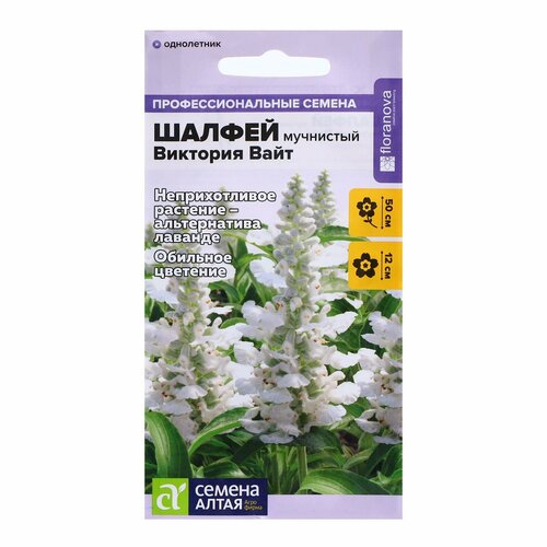 ������ ������ ������ ������ 