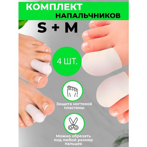 ������ ������ ����������� �����������-�������� ��� ������� ��� QuisLife, �������� ������ �� ������� �������� 4 ��. ����