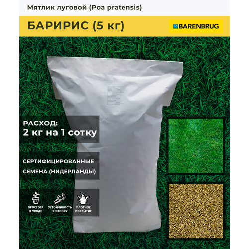 ������ ������ ������ ������� ������� (5 ��) ����