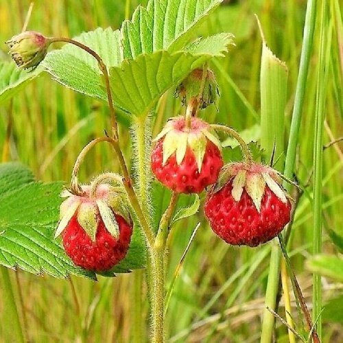 ������ ������ ������ ������ �������� ������ 30 ��. ����