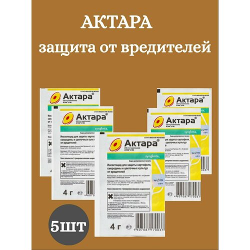 ������ ������ ������ ��� �������� ������ �� ���������� 5�� ����