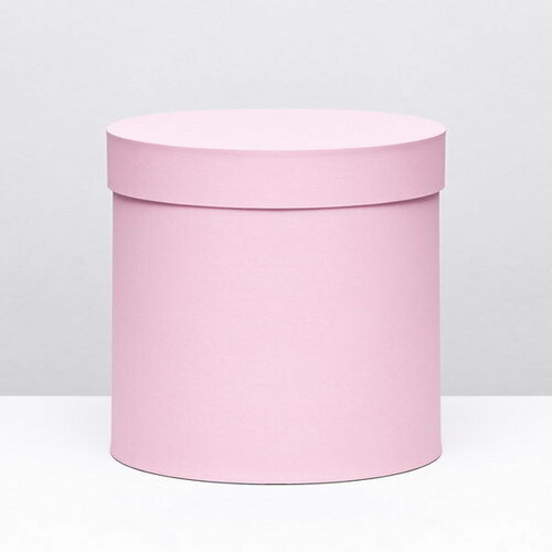 ������ ������ ������� ������� ����� �������, 23 x 23 �� ����