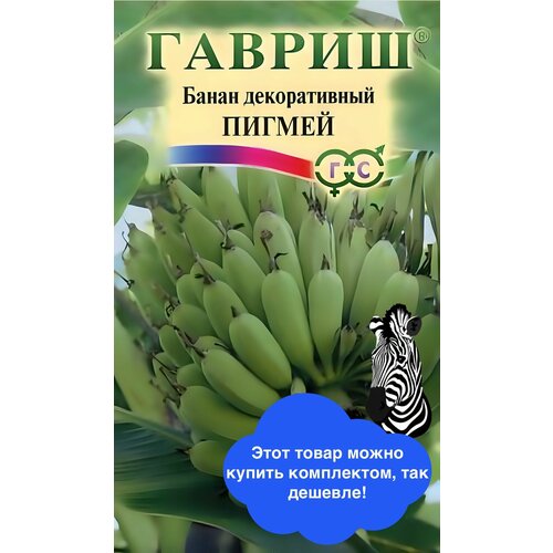 ������ ������ ����� ����� ������������ ������ ����