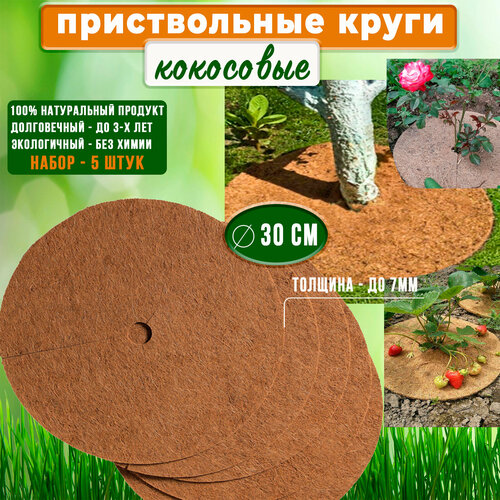 ������ ������ ��������� ������, ������������ ���� 30 ��, ����� 5 ��. �������� ���������� ����