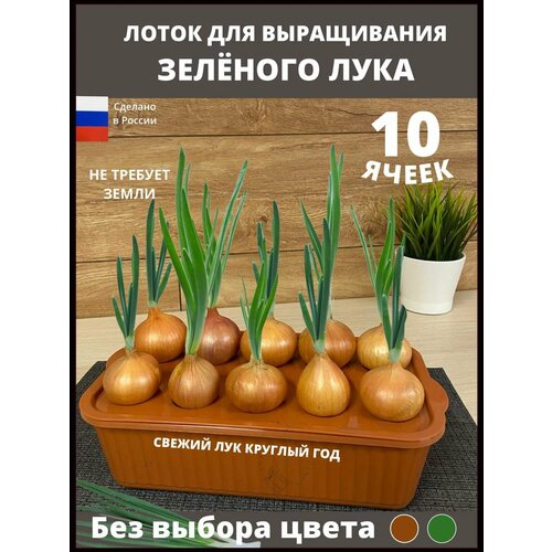 ������ ������ ��������� ��� ����������� ����, ����� ����