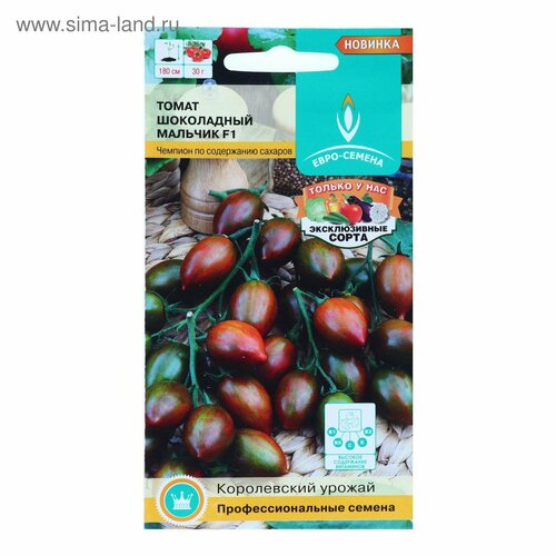 ������ ������ ������ ����� ���������� ������� F1 ����� 10�� ����� (����-���) ����