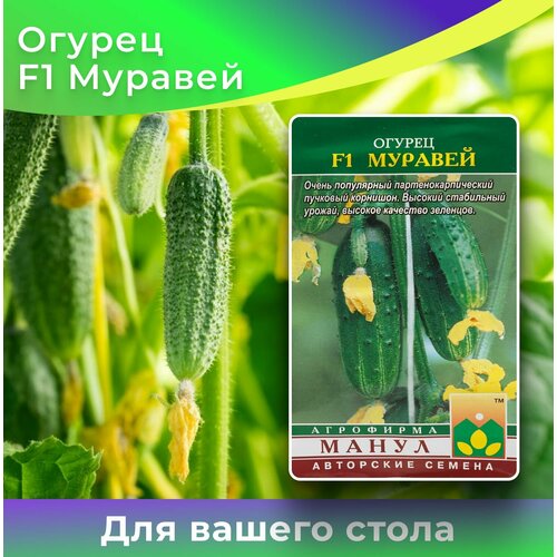 ������ ������ ������ ������� 