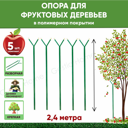 ������ ������ �������� ��� �������� 2.4� 5 ��. / ����� ������� ����