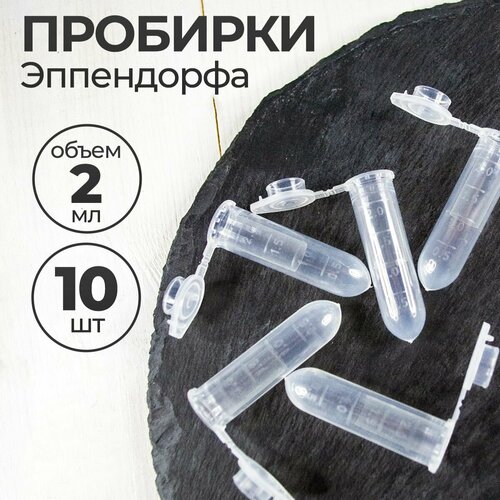 ������ ������ �������� ����������� � ������� 2 �� 10 ��. (����������) ����