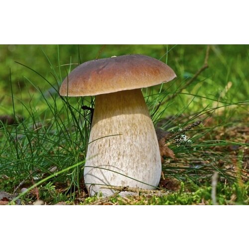 ������ ������ ������� ������ ����� ����