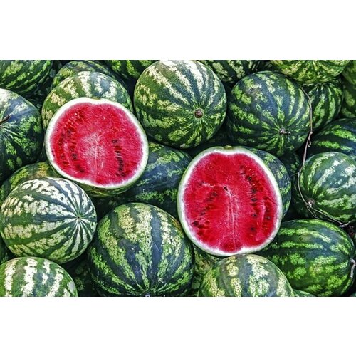 ������ ������ ������ ����� ������������ ����