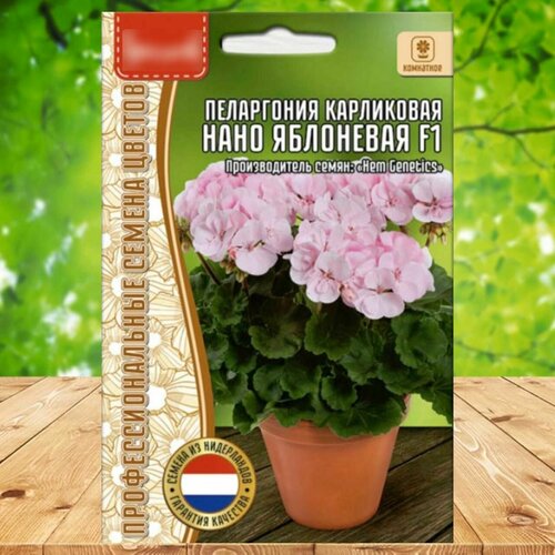 ������ ������ ������ ������ ���������� ���������� ���� ��������� F1 1 ��. ����