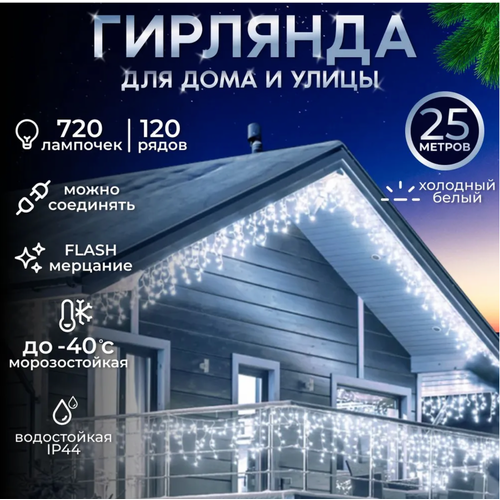 ������ ������ ��������������� ������� �������, ������ �����, 25 ������ ����