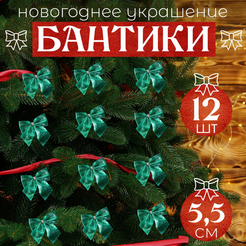 ������ ������ ����� �� ���� ������� 12�� 5,5�� ����