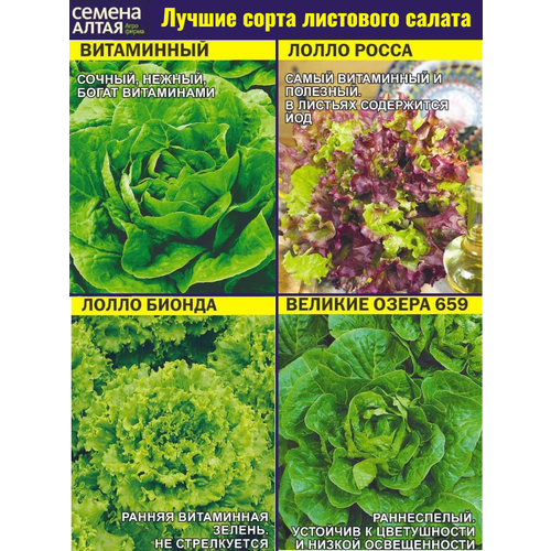 ������ ������ ����� ����� �������� �������. ��� ��������� ������ � ������ ����