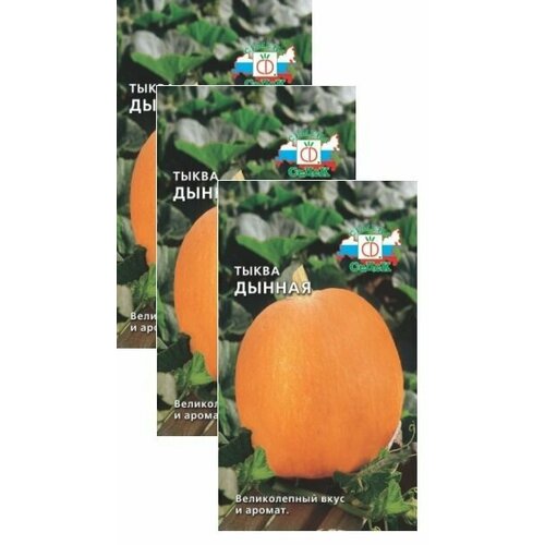 ������ ������ ������ ����� ������ 1,5 � (�����) , 3 �������� * 1,5 � ����