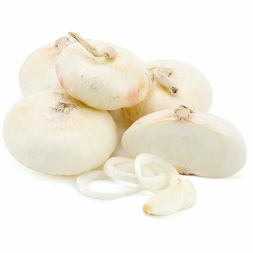 ������ ������ ������������� ������ ���� �������� ��������� ����� ����