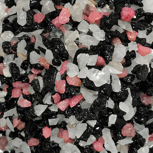 ������ ������ ����������� ����� ��� ��������, ����������� � ��������, Zoo One, ��������� ��������, 
