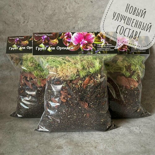 ������ ������ ������� ����� ��� ������� 8 ������, ������� ����� ��� ���������� ����