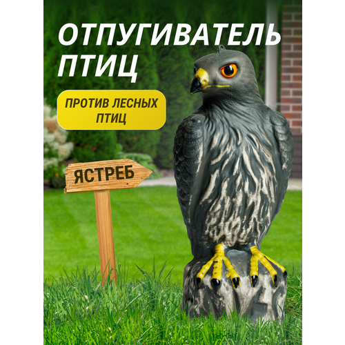 ������ ������ ������������ ���� ������ ����