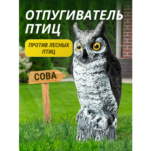 ������ ������ ������������ ���� ���� ����