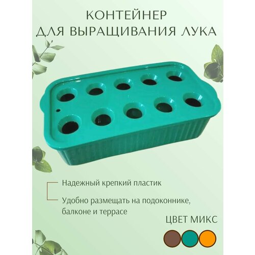 ������ ������ ����� ��� ����������� �������� ���� �� �����������, ���� ���� ����