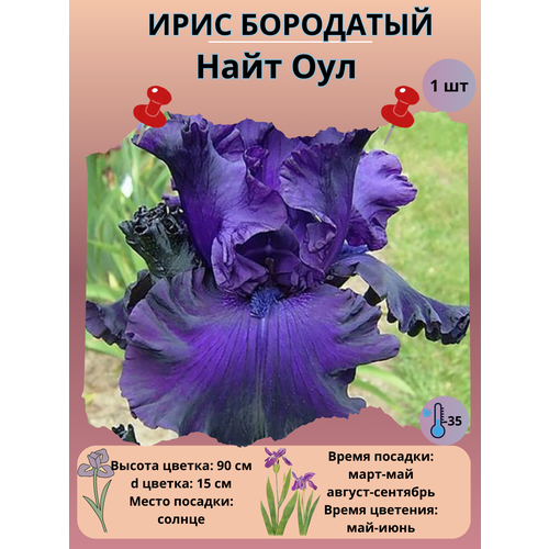 ������ ������ ���� ��������� ���� ���, ����������� ����� ����