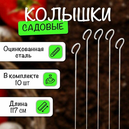 ������ ������ ����� ������� ������� ������������� 117��, 10 �� � ��������� ����