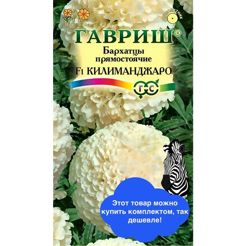 ������ ������ ����� �������� ������������ ������������ F1 (�������) 0,05� ����� ������ ����