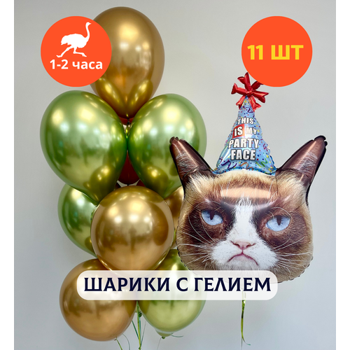 ������ ������ ������ ��������� �� ���� ��������, ��������� ���� � ������, ���� � ���� ��������, ����� ����� ��� ������� 