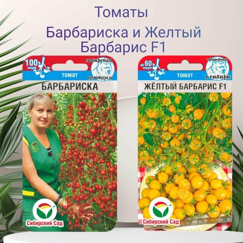 ������ ������ ����� ����� ���������� � ����� ������ �������� F1 ����