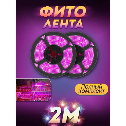 ������ ������ ������������ ����� ��� ������� ����