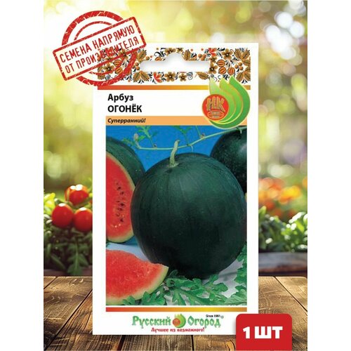 ������ ������ ������ ����� ������ ����