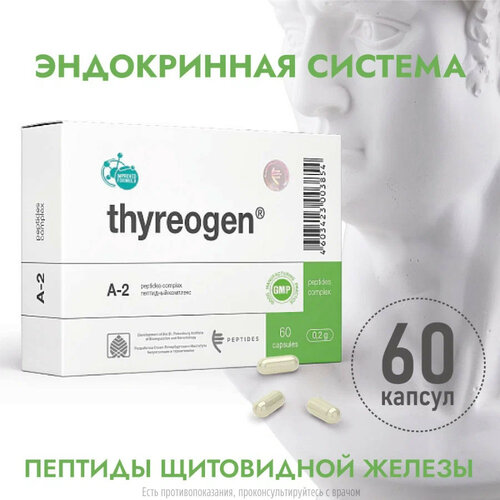 ������ ������ �������� ����., 0.2 �, 60 ��. ����