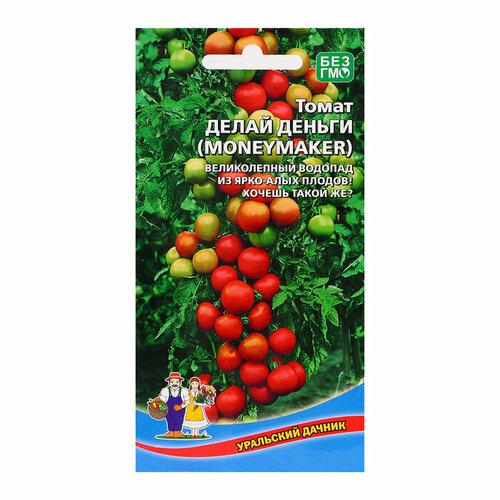 ������ ������ ������ ����� ����� ������ 20�� ������ (��������� ������) ����