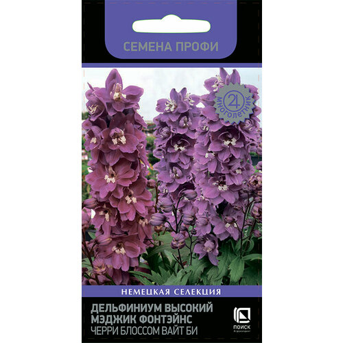 ������ ������ ���������� ������� ������ �������� ����� ������� ���� �� (������ �����) (